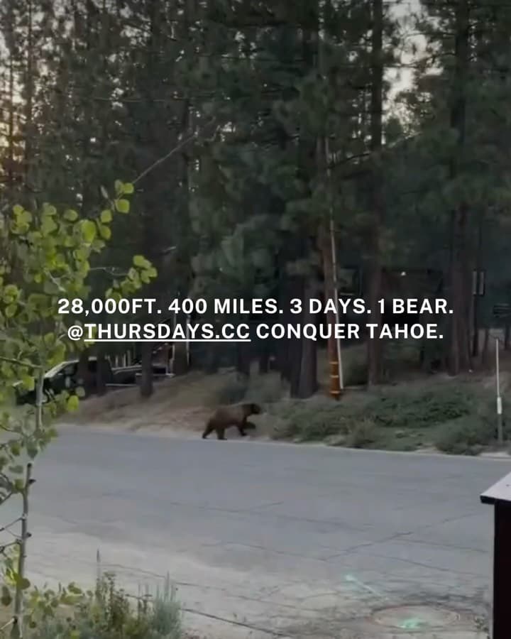 Cyclists from Thursdays Cycling Club riding together through mountainous terrain during their multi-day Lake Tahoe Conquer event covering over 400 miles from San Francisco to Lake Tahoe
