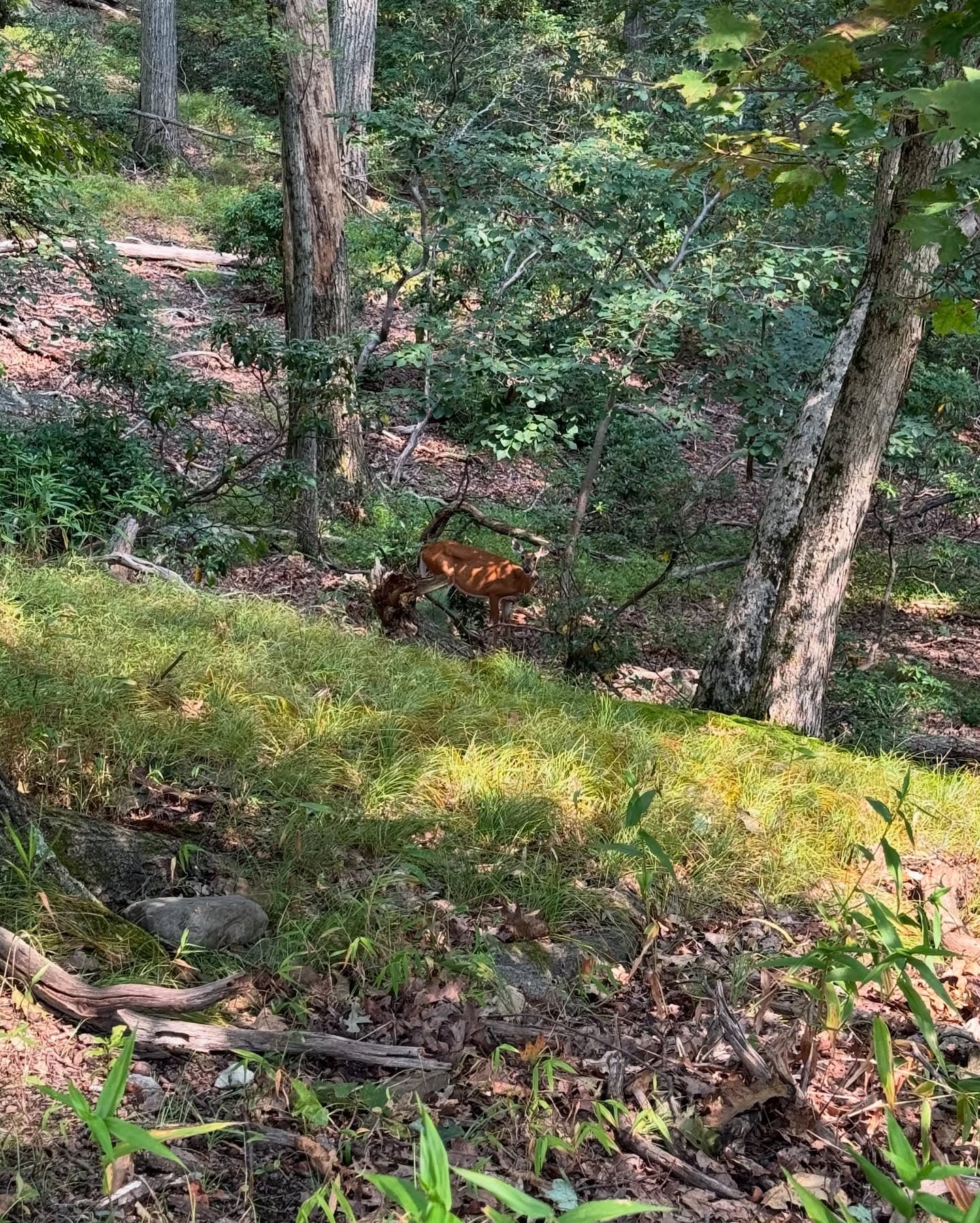 How Hiking Communities Turn Trail Sponsors Into Experience Partners — media 9 of 14