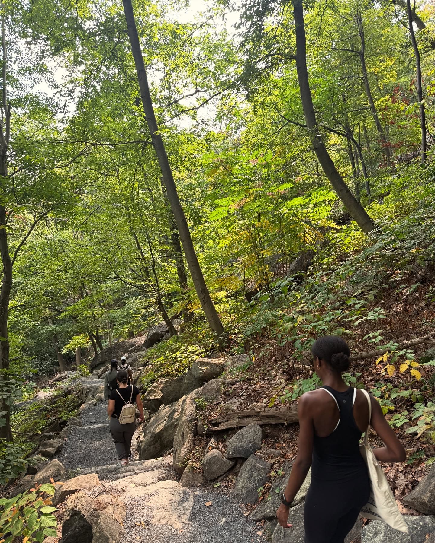 How Hiking Communities Turn Trail Sponsors Into Experience Partners — media 10 of 14